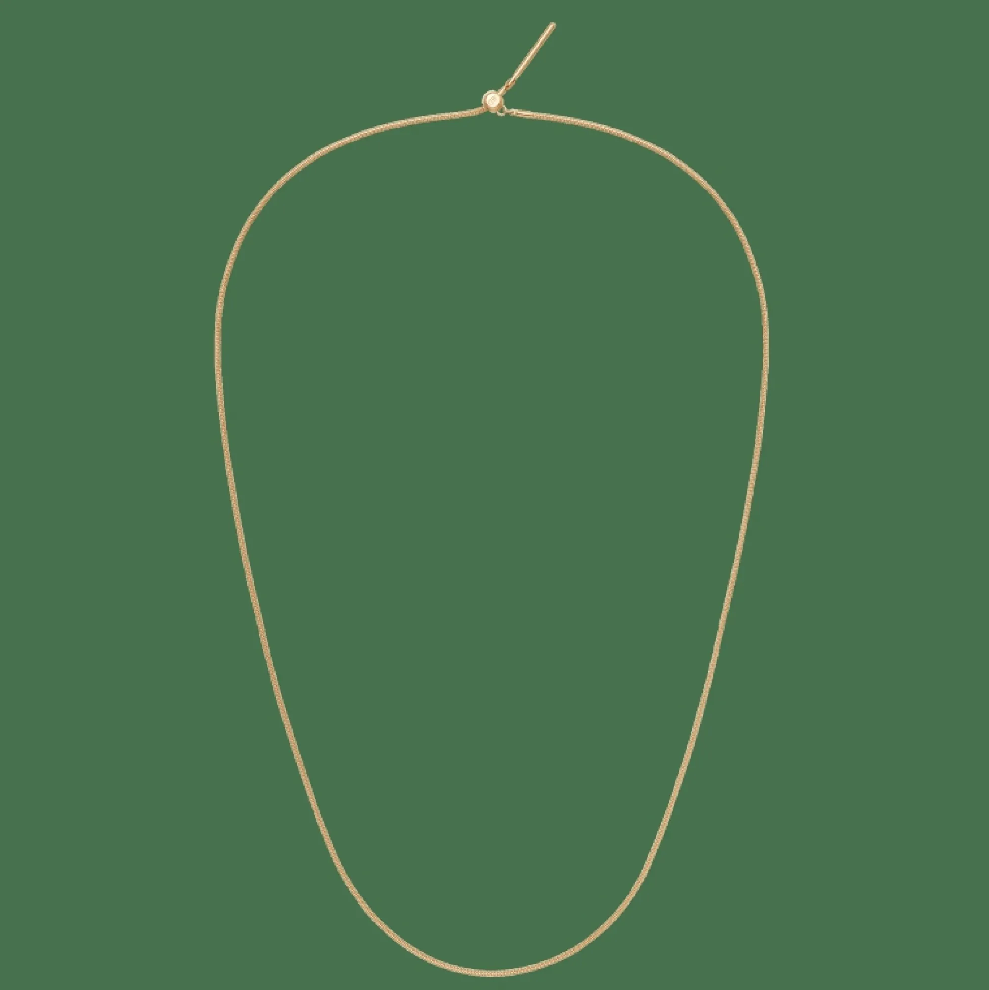 Daniel Wellington Halsband<Charms Snake Necklace G Gold