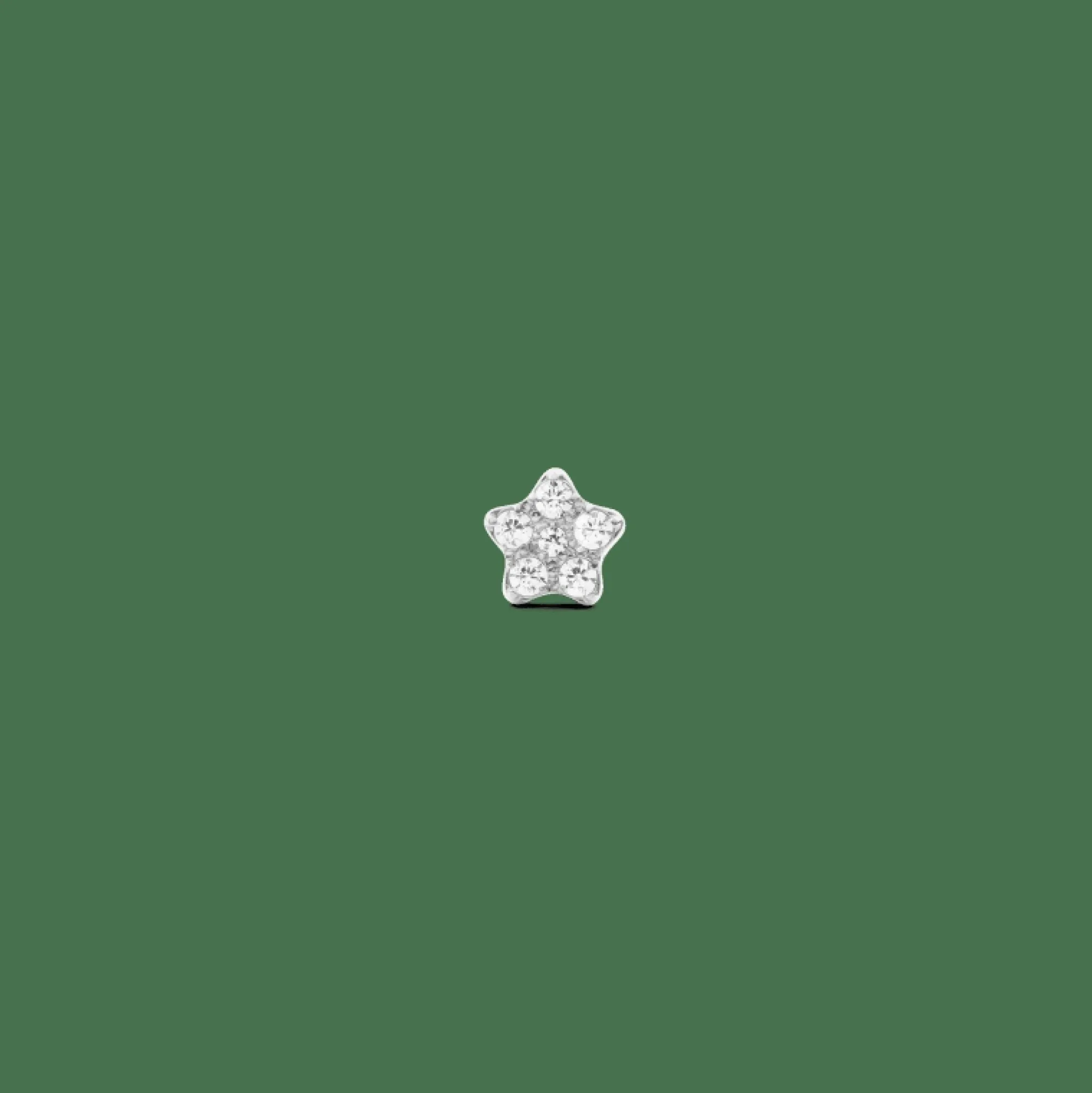Daniel Wellington Örhängen<Crystal Star Stud Silver