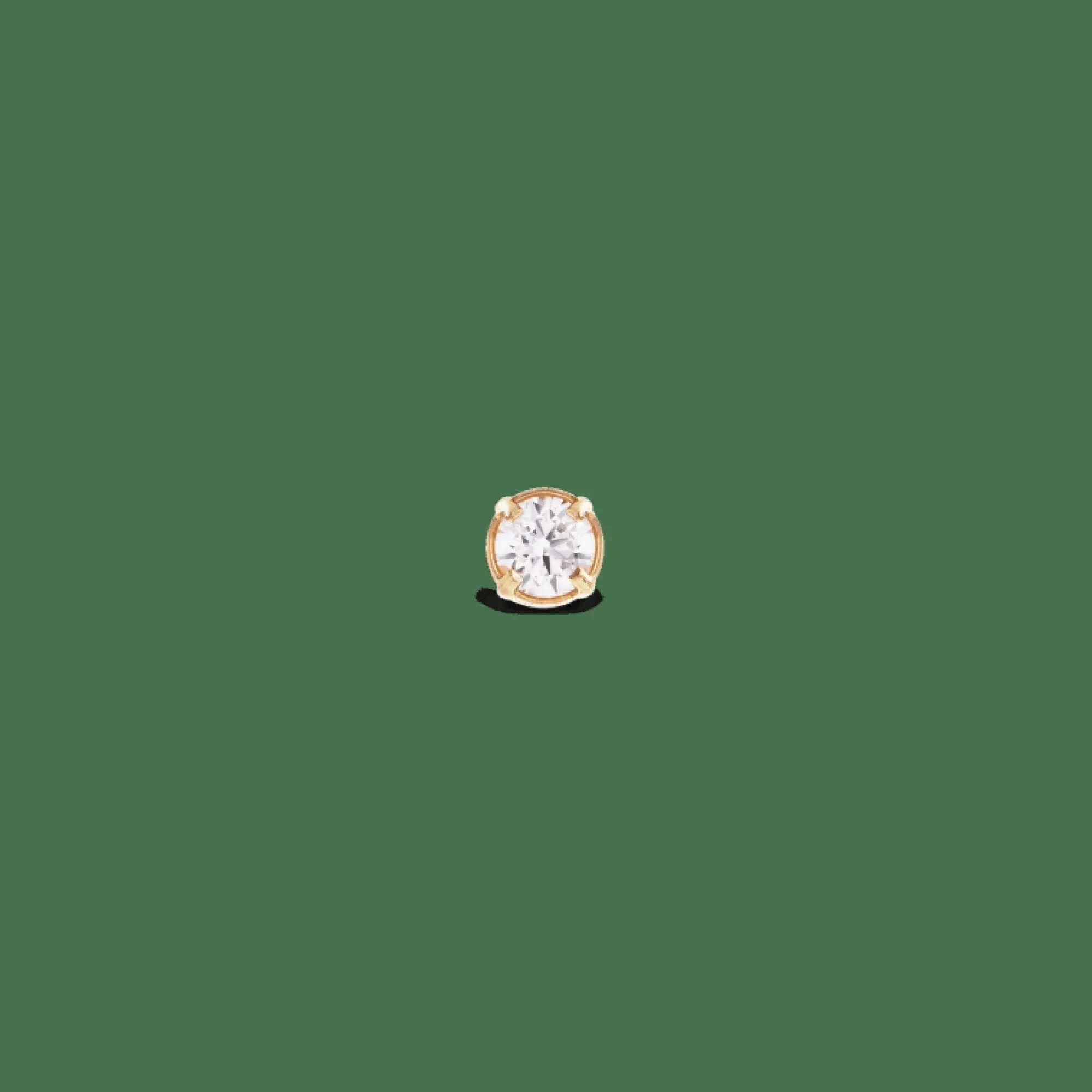Daniel Wellington Örhängen<Crystal Stud Gold