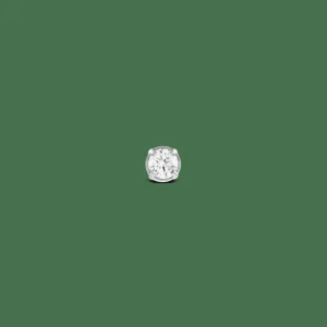 Daniel Wellington Örhängen<Crystal Stud Silver