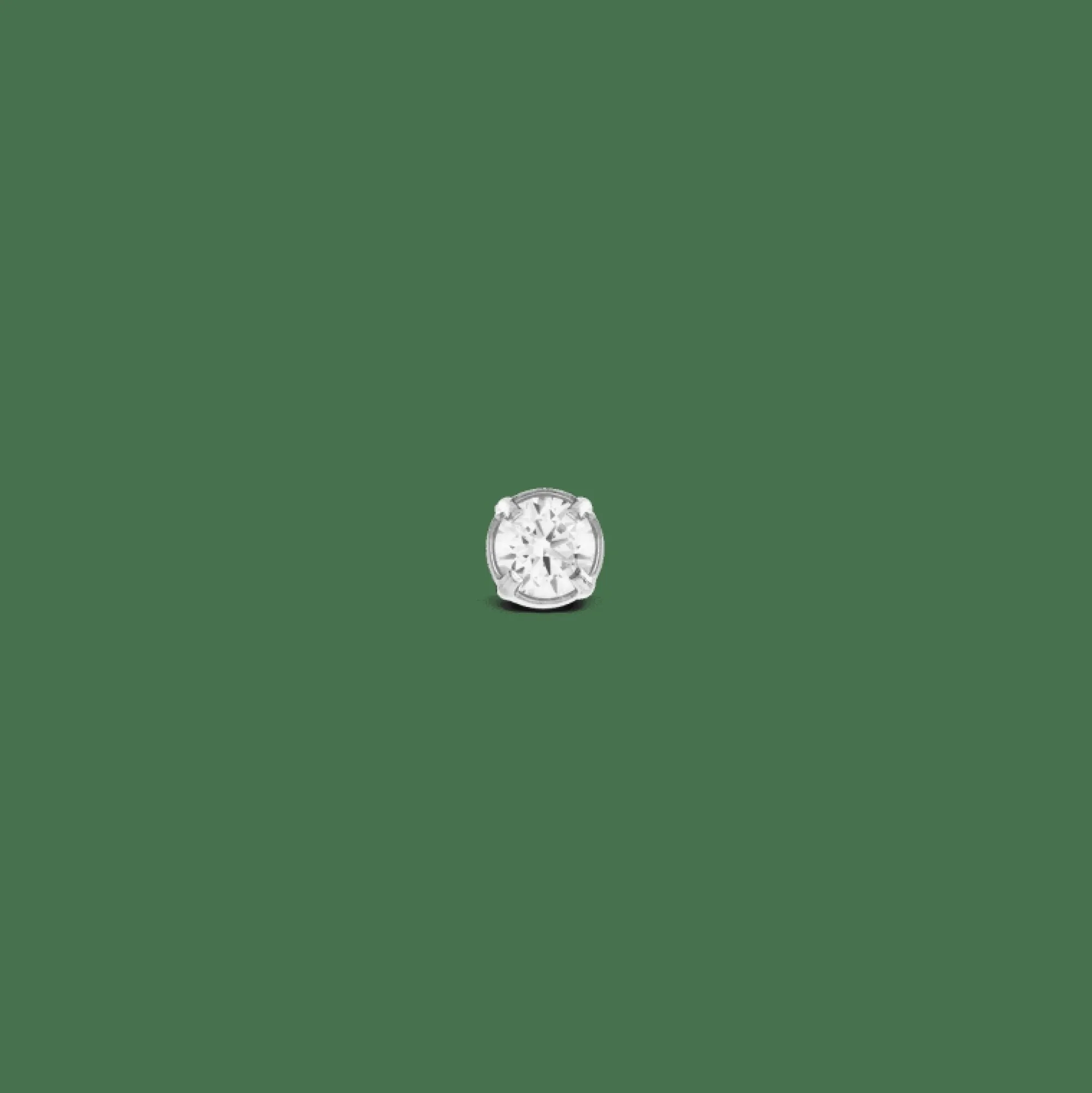 Daniel Wellington Örhängen<Crystal Stud Silver