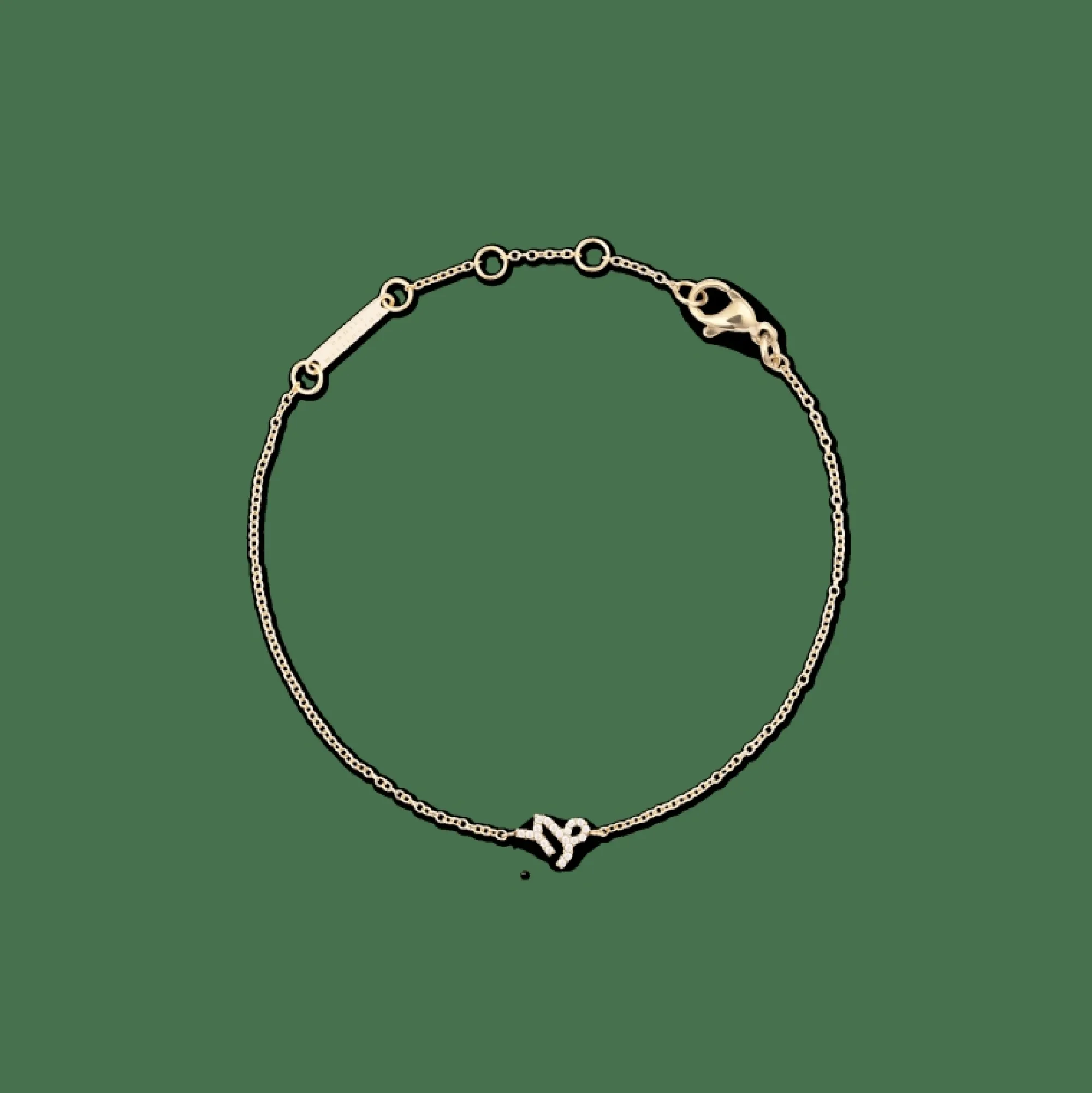 Daniel Wellington Armband<Crystal Zodiac Chain Bracelet Gold
