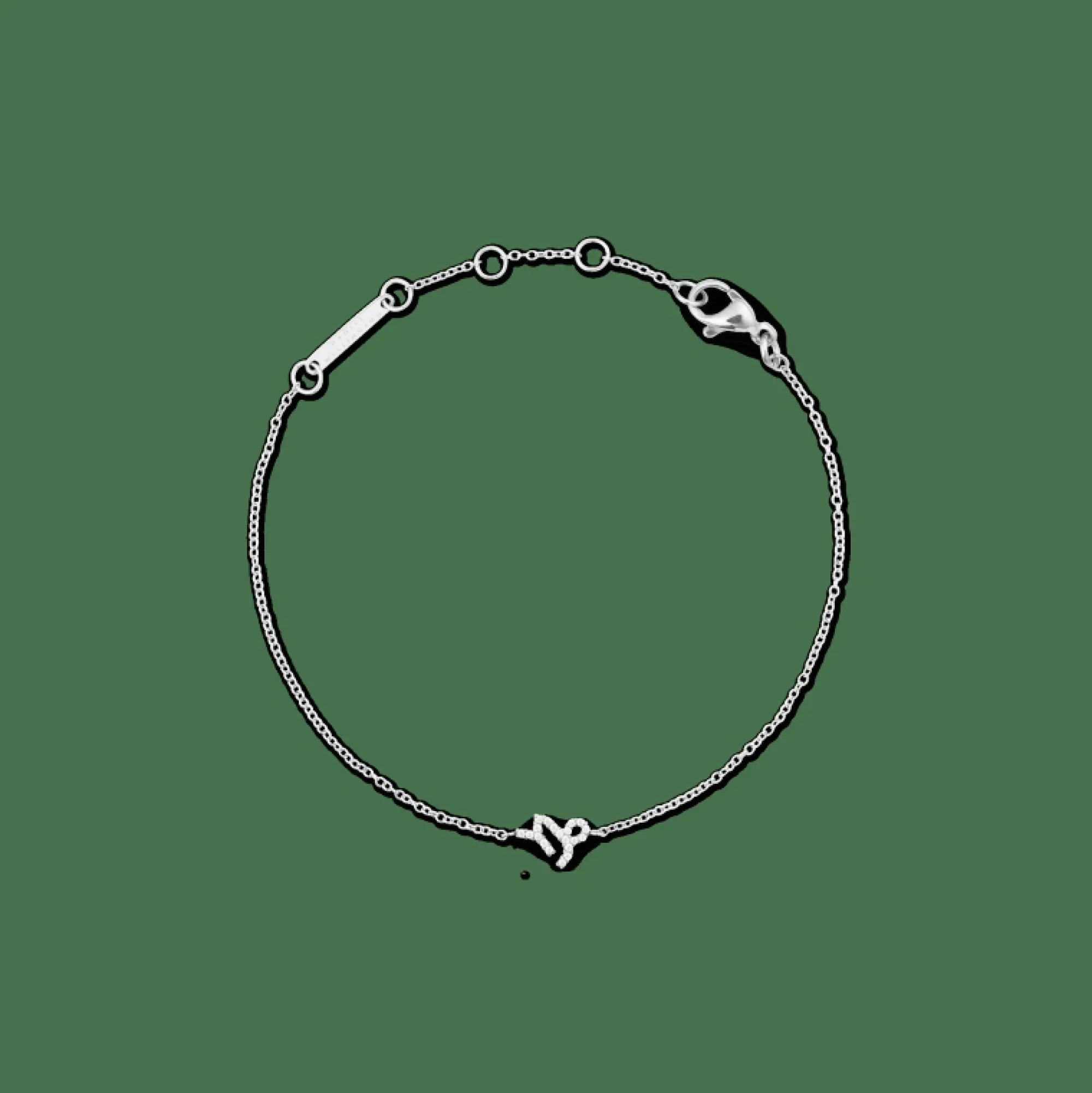 Daniel Wellington Armband<Crystal Zodiac Chain Bracelet Silver