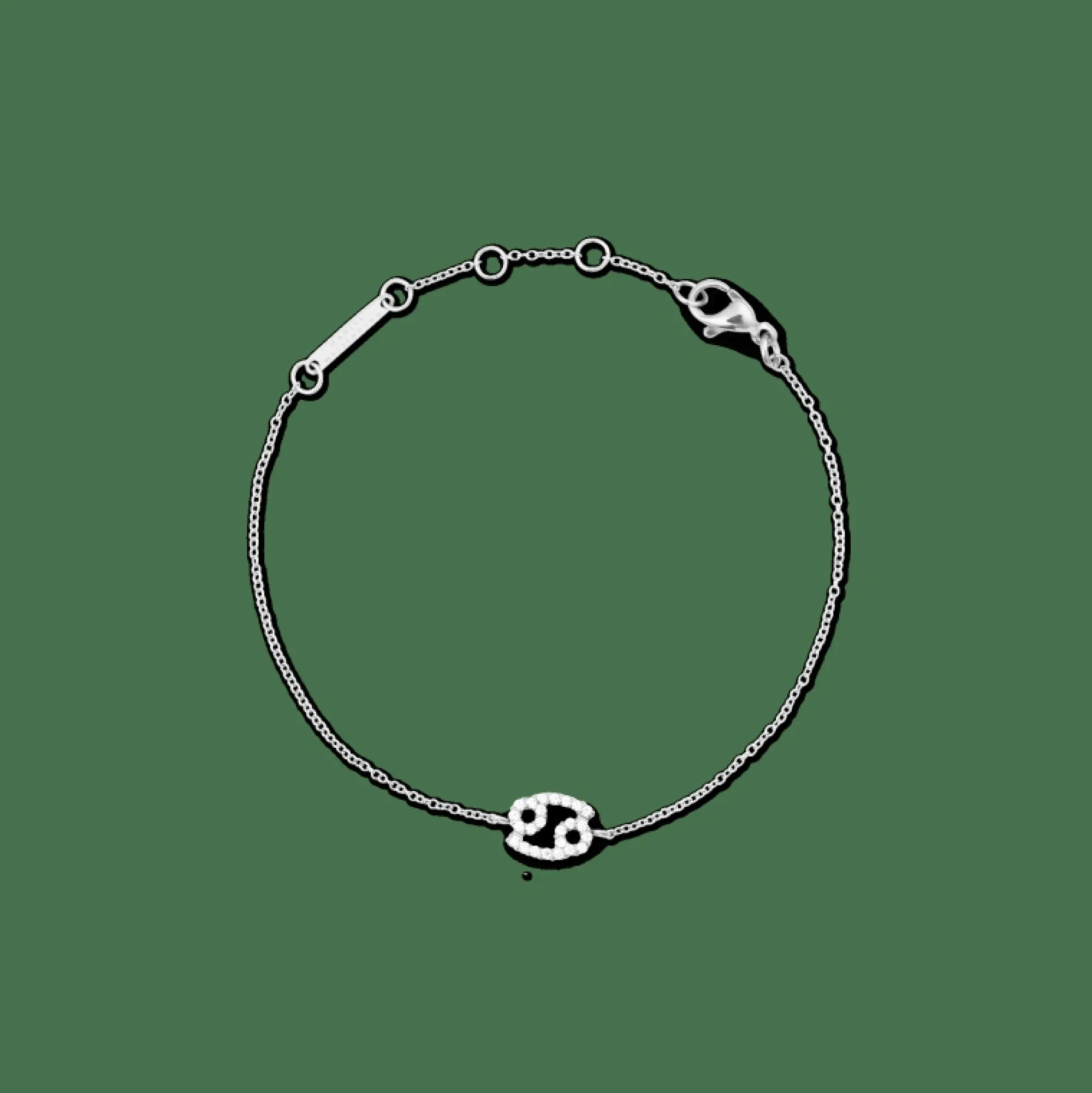 Daniel Wellington Armband<Crystal Zodiac Chain Bracelet Silver