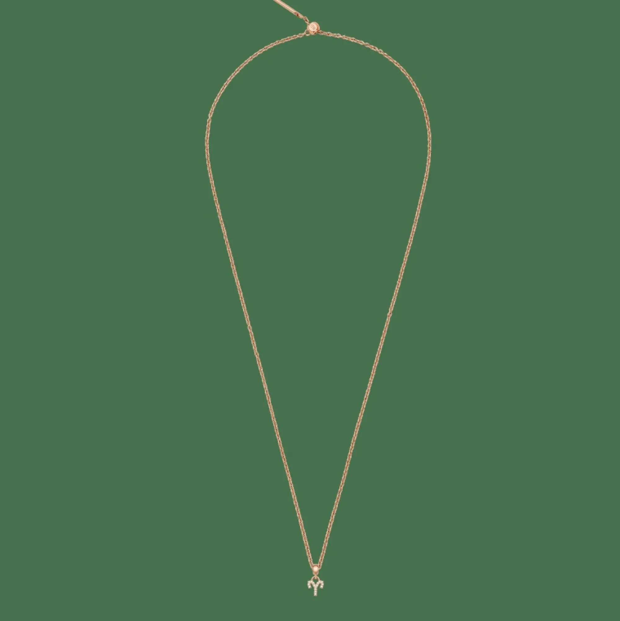 Daniel Wellington Berlocker<Crystal Zodiac Charm Rose Gold